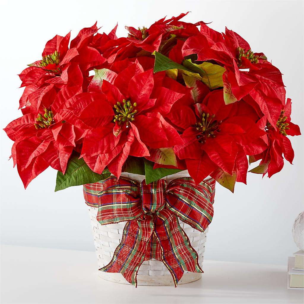Happiest Holidays Poinsettia – Flowers By Jerry, Rochester MN