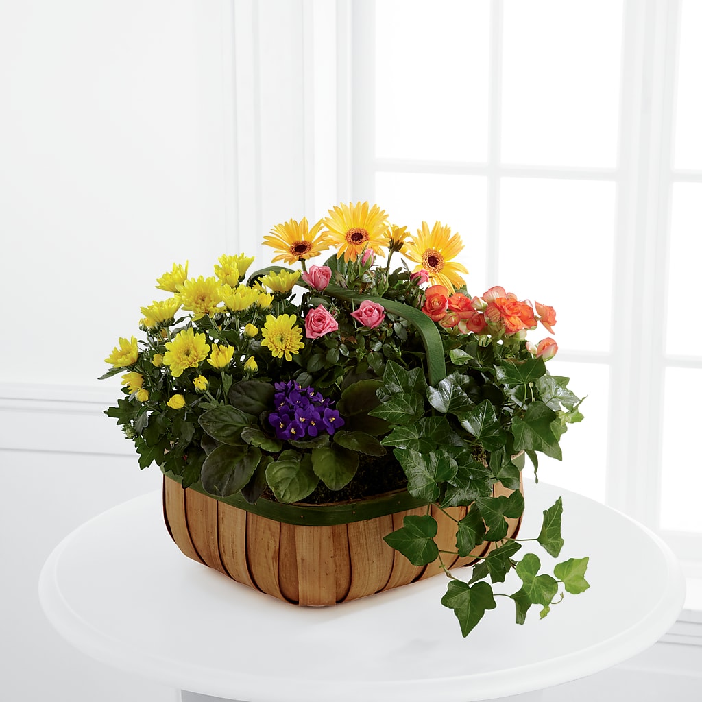 Gentle Blossoms Basket – Flowers By Jerry, Rochester MN