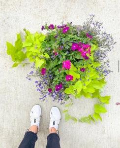 Mixed Hanging Basket – Flowers By Jerry, Rochester MN