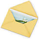 Greeting Card – Flowers By Jerry, Rochester MN