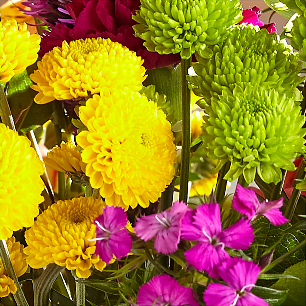 Bold & Bright – A Florist Original –  Flowers By Jerry, Rochester MN