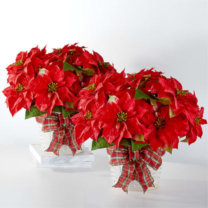 Happiest Holidays Poinsettia Bundle –  Flowers By Jerry, Rochester MN
