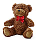 Adorable Plush Bear –  Flowers By Jerry, Rochester MN