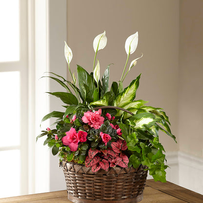Dream in Pink Dishgarden –  Flowers By Jerry, Rochester MN
