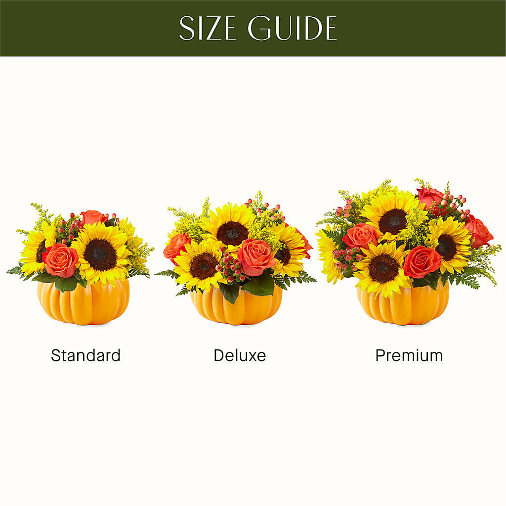 Pick of the Patch Pumpkin Bouquet –  Flowers By Jerry, Rochester MN