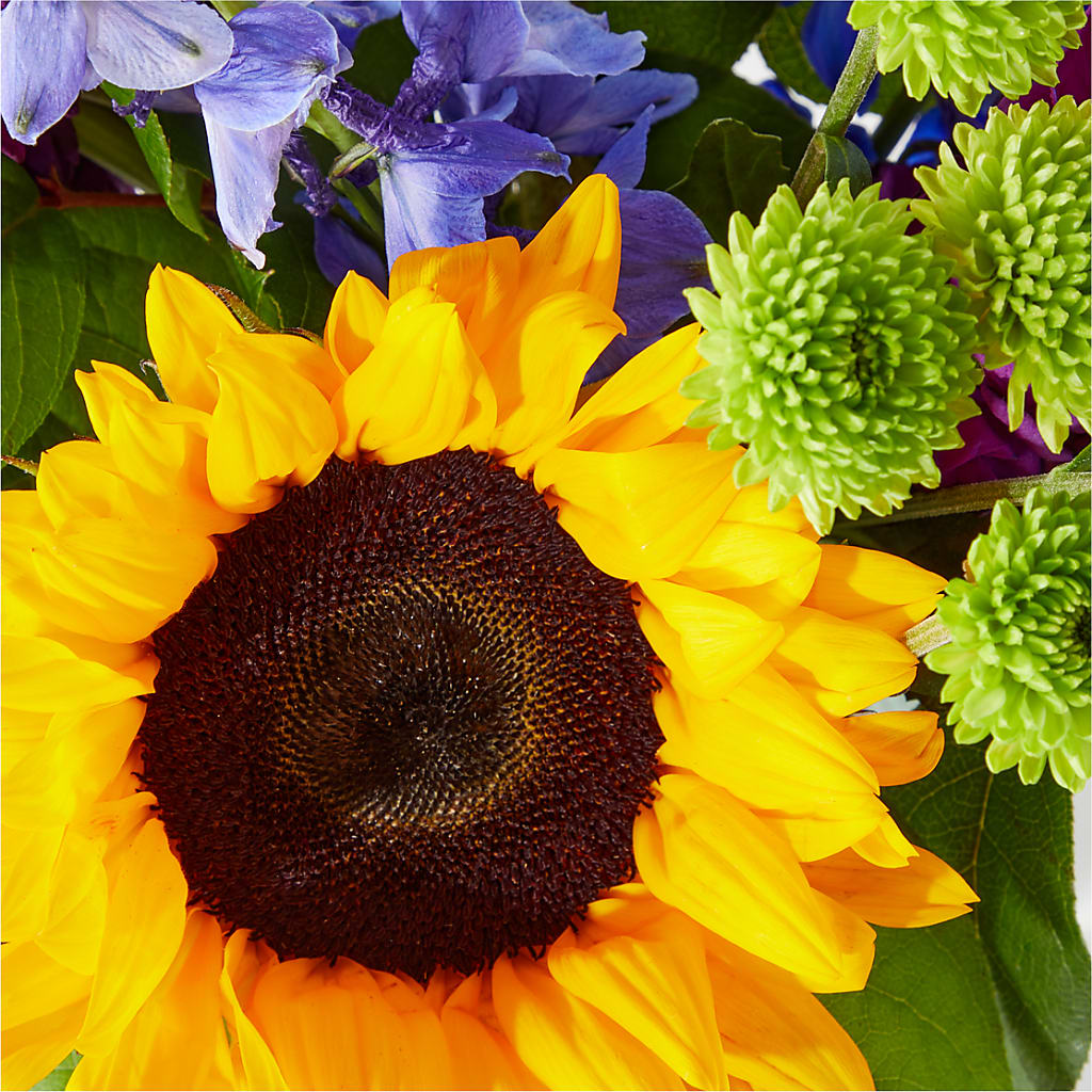 Catching Rays Bouquet –  Flowers By Jerry, Rochester MN