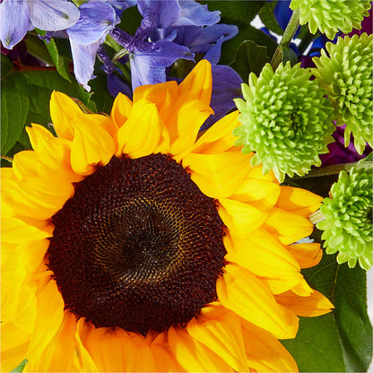 Catching Rays Bouquet –  Flowers By Jerry, Rochester MN