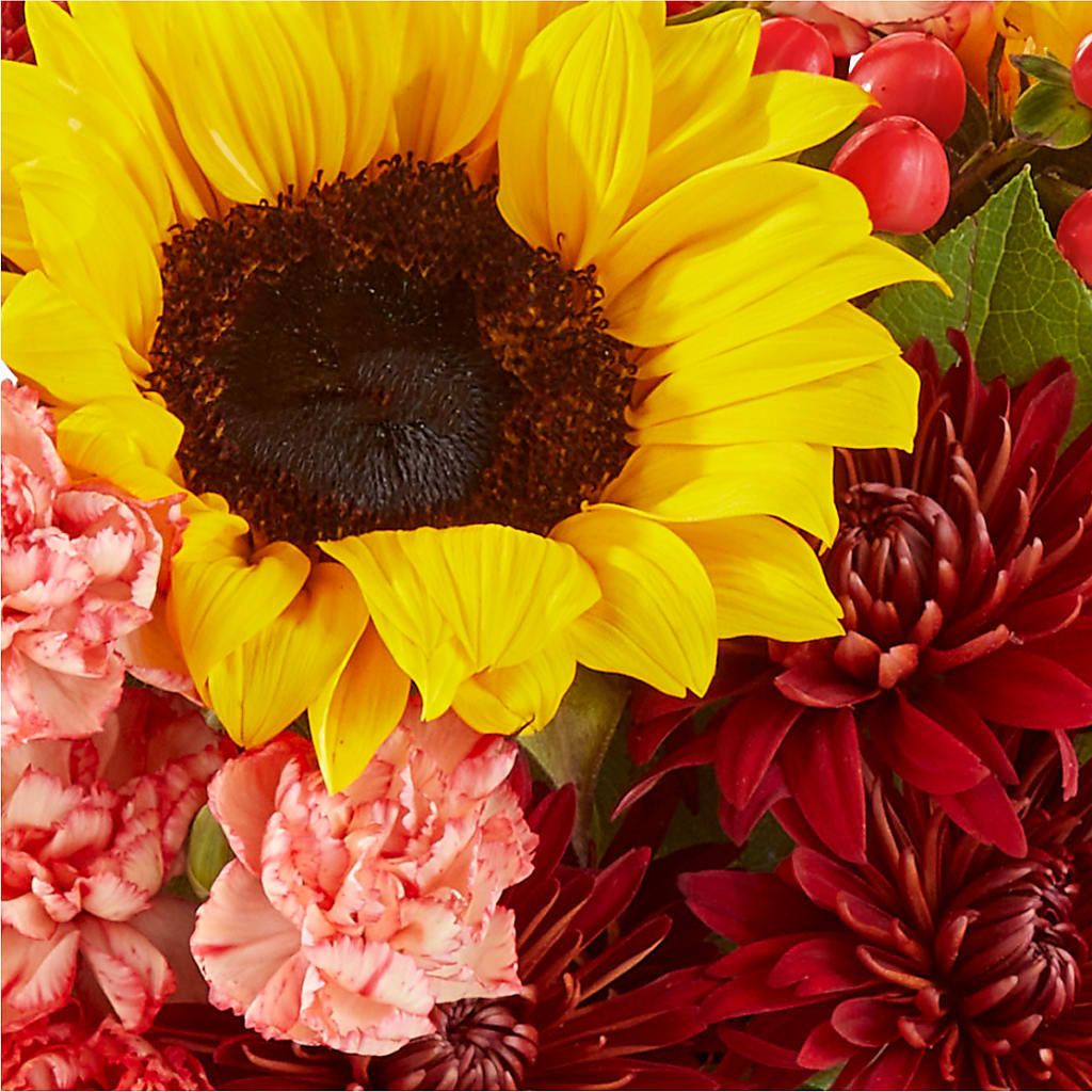 Fresh Cider Bouquet –  Flowers By Jerry, Rochester MN