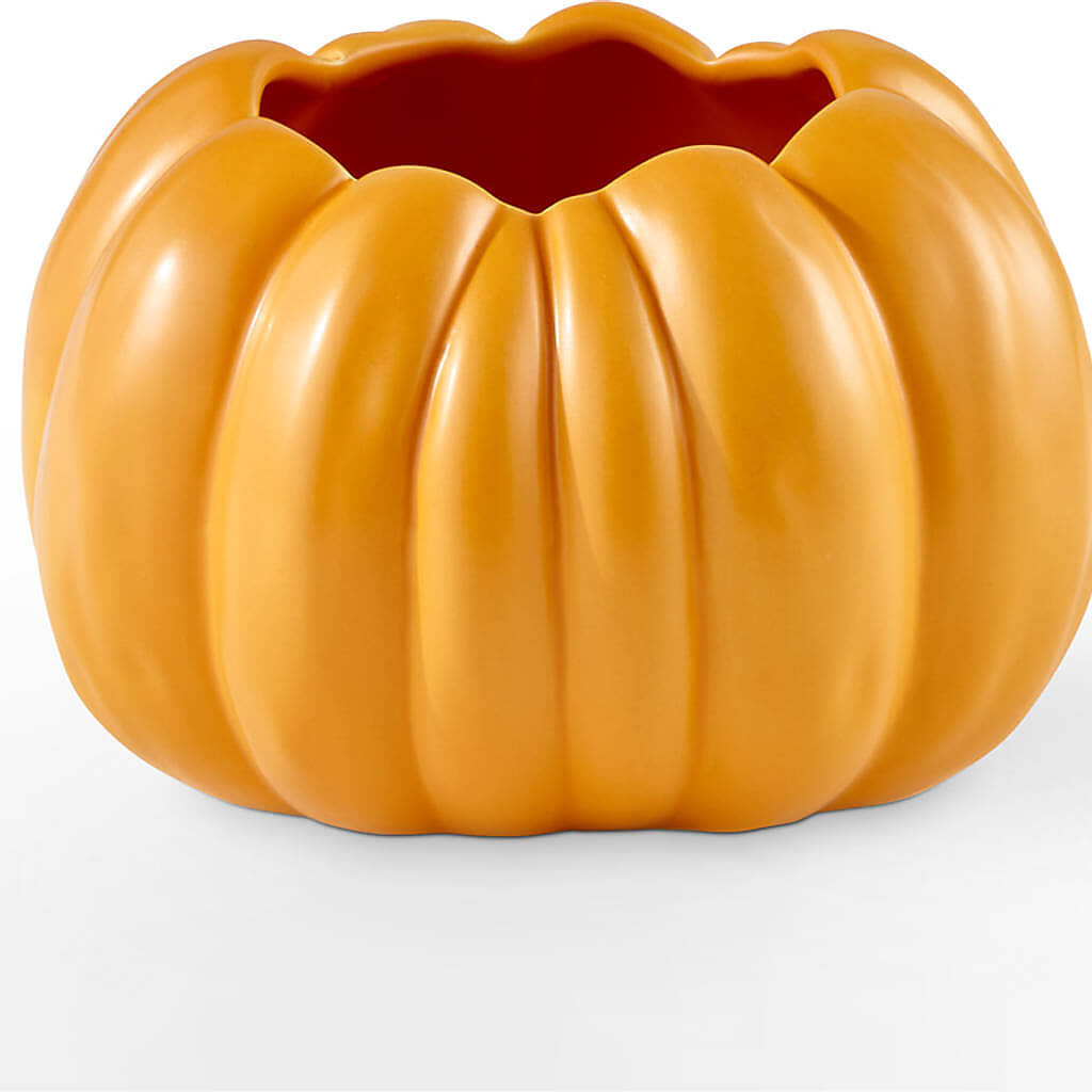 Pick of the Patch Pumpkin Bouquet –  Flowers By Jerry, Rochester MN