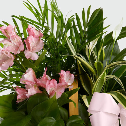 Living Spirit Dishgarden –  Flowers By Jerry, Rochester MN