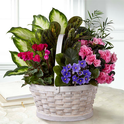 Peaceful Garden Planter –  Flowers By Jerry, Rochester MN