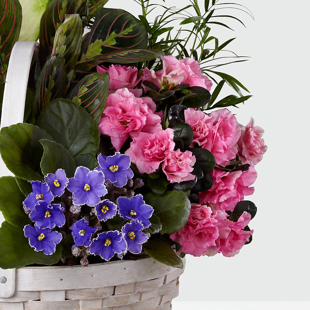 Peaceful Garden Planter –  Flowers By Jerry, Rochester MN