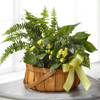 Always Dear Dishgarden –  Flowers By Jerry, Rochester MN