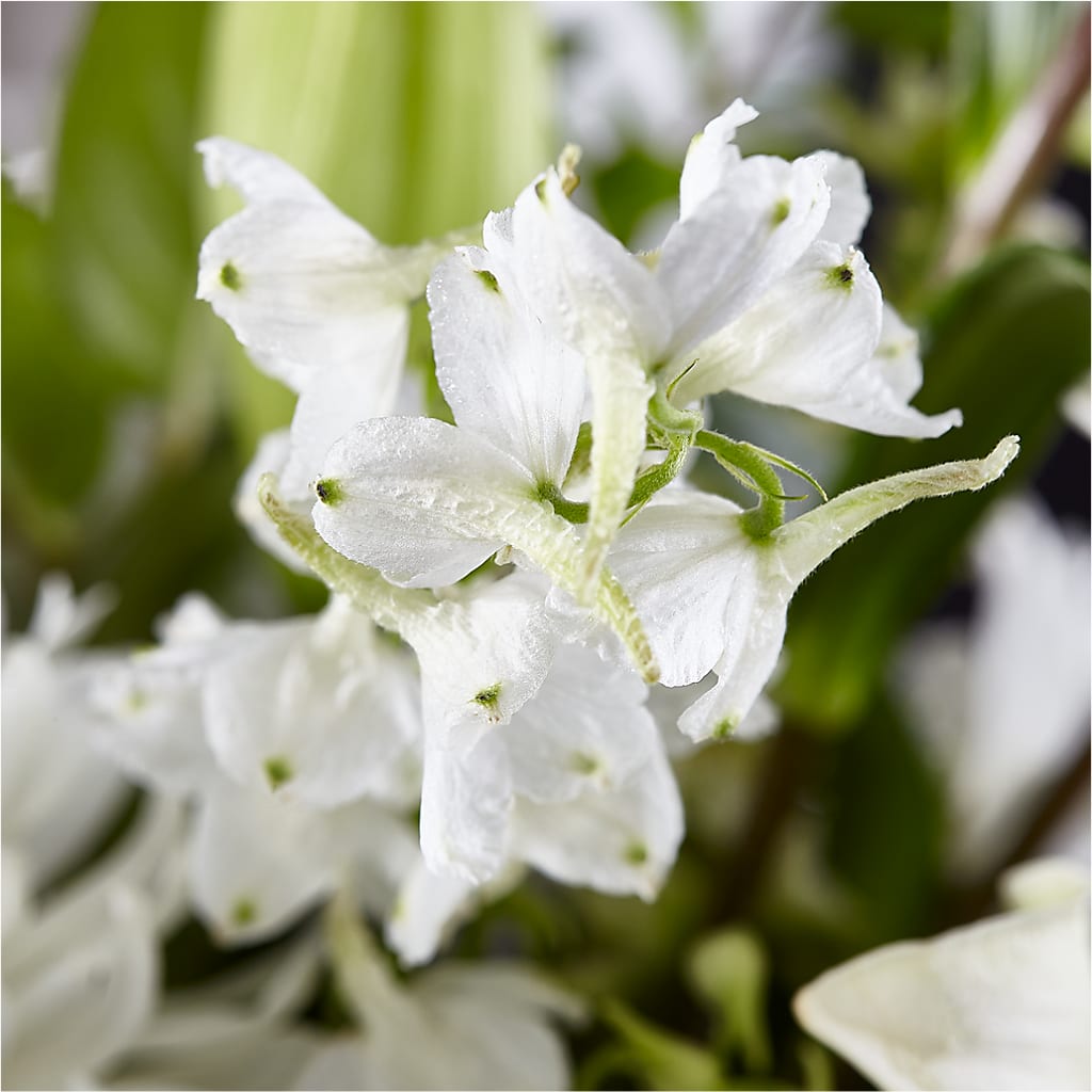 Classic Ivory – A Florist Original –  Flowers By Jerry, Rochester MN