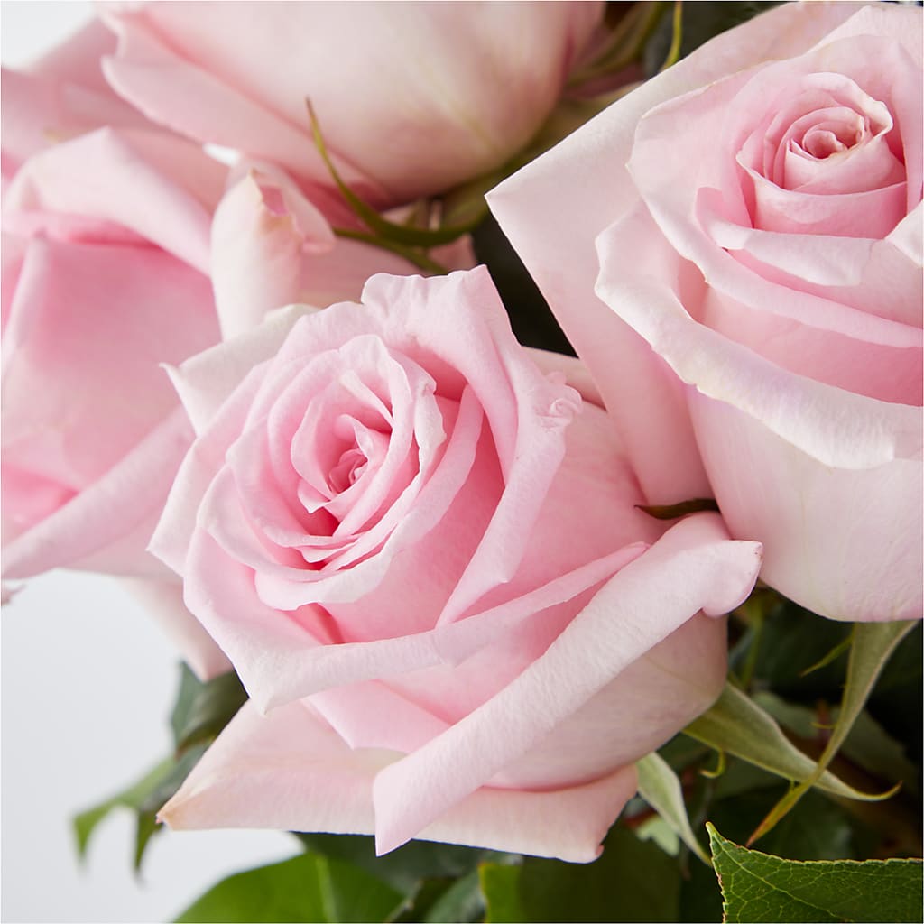 Picture Perfect Pink Rose Bouquet –  Flowers By Jerry, Rochester MN