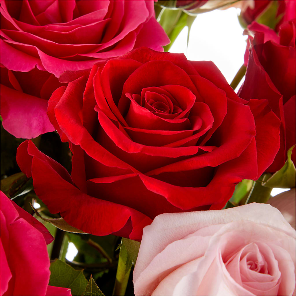 Love Notes Rose Bouquet –  Flowers By Jerry, Rochester MN