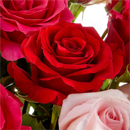 Love Notes Rose Bouquet –  Flowers By Jerry, Rochester MN