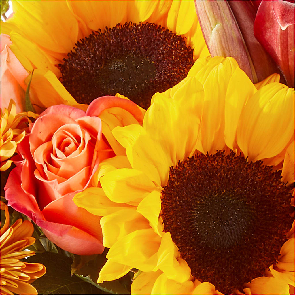 Acorn Lane Bouquet –  Flowers By Jerry, Rochester MN