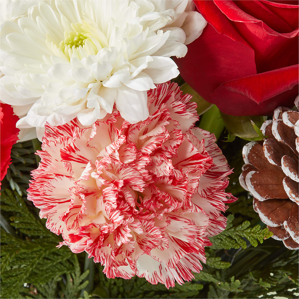 Candy Cane Lane Bouquet –  Flowers By Jerry, Rochester MN