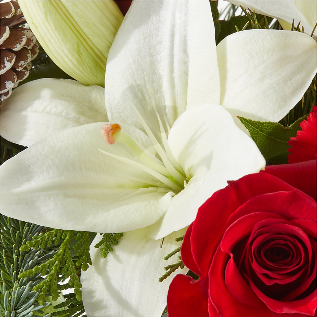 Oh So Jolly Bouquet –  Flowers By Jerry, Rochester MN