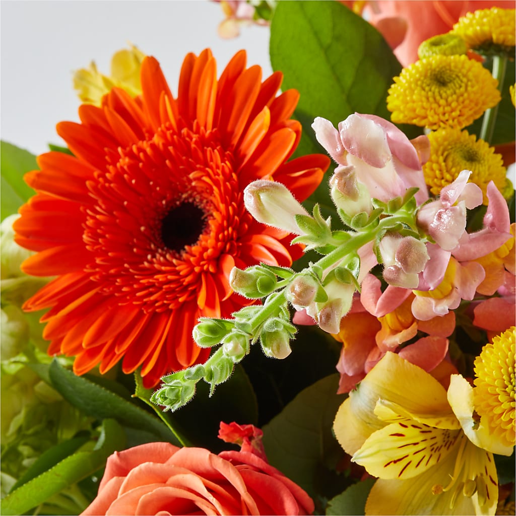 Autumn Sunshine Bouquet –  Flowers By Jerry, Rochester MN